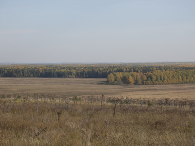 Наедине с природой.